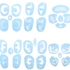 6 Stilarter/sæt Genanvendelig Ansigtsmalingsstencil Tatoveringsværktøj