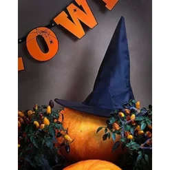 4 stk. heksehatte ┃ Børns Halloween-kostume ┃ Spids sort 34
