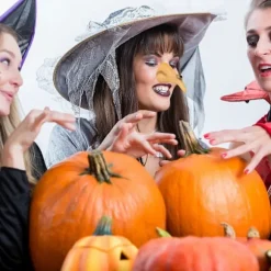 2 stk. Heksenæse Halloween Ond Heksenæse Protetisk Næse (FMY)