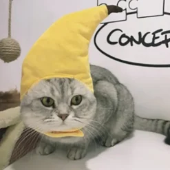 1 stk. kæledyr hat, hund, banan hat, kreativ transformation, sjov kat