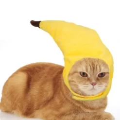 1 stk. kæledyr hat, hund, banan hat, kreativ transformation, sjov kat