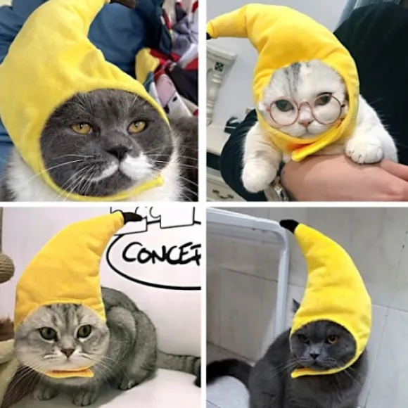 1 stk. kæledyr hat, hund, banan hat, kreativ transformation, sjov kat
