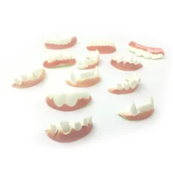 12 stk. sjove protesemodeller Cosplay rekvisitter proteser legetøj Spoof til 12pcs