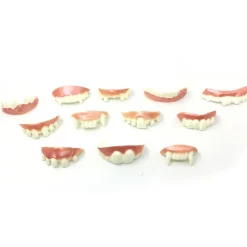 12 stk. sjove protesemodeller Cosplay rekvisitter proteser legetøj Spoof til 12pcs