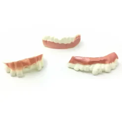 12 stk. sjove protesemodeller Cosplay rekvisitter proteser legetøj Spoof til 12pcs