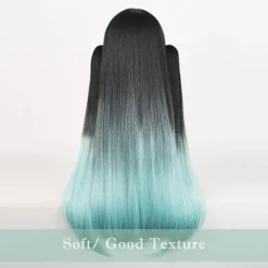 Cosplay Paryk til DS, Langt Glat Sort Grøn Paryk Gradient Dobbelt Hestehale Anime Hår Fletninger Parykker med Hætte til Halloween Kostume Black Green | Fyndiq