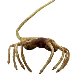 Facehugger Maske Halloween Horror Maske Horror Kløer Insekt Horror Facehugger Kostume As Shown