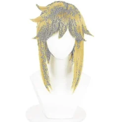 Game Legend Link Cosplay til voksne børn Tears Of The Kingdom Kostume Fuld Sæt Mand Halloween Karneval Kostume-WELLNGS Med paryk With wig 130