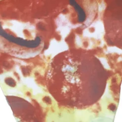 Halloween Pizza Kostume Sæt til Voksne Sjove Mad Outfit Unisex Kostume Style2