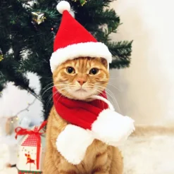 Julemandshat med halstørklæde til kat - Julekostumesæt Julemandshat til hvalpe, hunde og katte