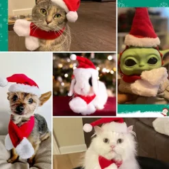 Julemandshat med halstørklæde til kat - Julekostumesæt Julemandshat til hvalpe, hunde og katte