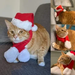 Julemandshat med halstørklæde til kat - Julekostumesæt Julemandshat til hvalpe, hunde og katte