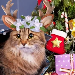 Katte Kostume, Jule Hovedbøjle, Rensdyr Gevir, Katte- og Hundehovedbeklædning med Blomster til Katte og Små Hunde