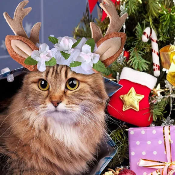 Katte Kostume, Jule Hovedbøjle, Rensdyr Gevir, Katte- og Hundehovedbeklædning med Blomster til Katte og Små Hunde