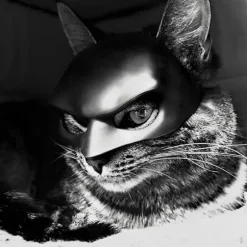 Katte Maske Cosplay, Katte Cosplay Hat, Katte Maske til Halloween Cosplay, Sjove Katte Kostume Tilbehør (Stor)