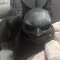 Katte Maske Cosplay, Katte Cosplay Hat, Katte Maske til Halloween Cosplay, Sjove Katte Kostume Tilbehør (Stor)