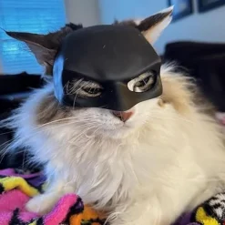 Katte Maske Cosplay, Katte Cosplay Hat, Katte Maske til Halloween Cosplay, Sjove Katte Kostume Tilbehør (Stor)