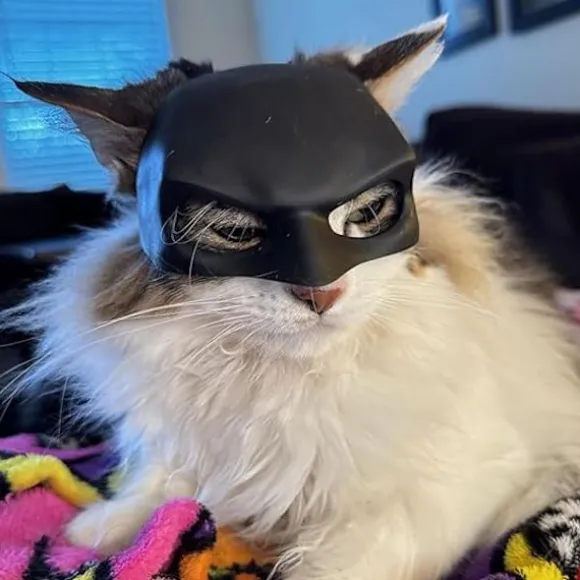 Katte Maske Cosplay, Katte Cosplay Hat, Katte Maske til Halloween Cosplay, Sjove Katte Kostume Tilbehør (Stor)