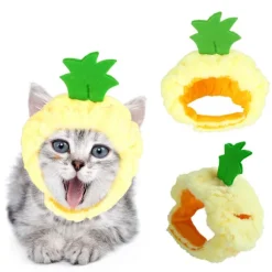 Kæledyr hat, Teddy, ananas hovedbeklædning, kat, hat, åben øre kattehoved