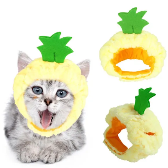 Kæledyr hat, Teddy, ananas hovedbeklædning, kat, hat, åben øre kattehoved