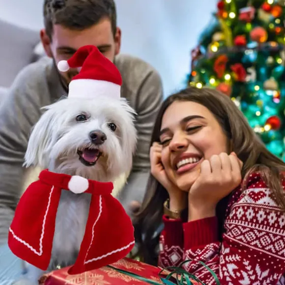Kæledyrs julehat, kæledyrs julehalstørklæde, kattehunde julekostume, f