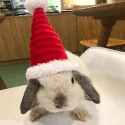 Lizard Tomte Hatt Kanin Med Halstørklæde Julekostume 01 1 1
