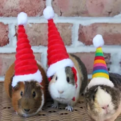 Lizard Tomte Hatt Kanin Med Halstørklæde Julekostume 01 1 1