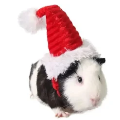 Lizard Tomte Hatt Kanin Med Halstørklæde Julekostume 01 1 1