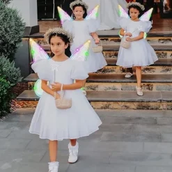 Lysende fevinger, parret med stjerne-hårtilbehør, perfekt til et karneval. Trollslända vit Trollslända vit