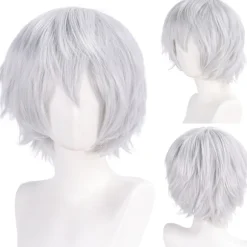 Paryk Anime Herre Cosplay Kort Paryk 30CM (KR311),CJY