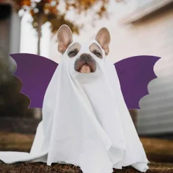 Rollespil Flagermusvinger Bløde og Behagelige Stof Til Halloween Party Favør Udveksling af Gaver (FMY) Purple 0-5years