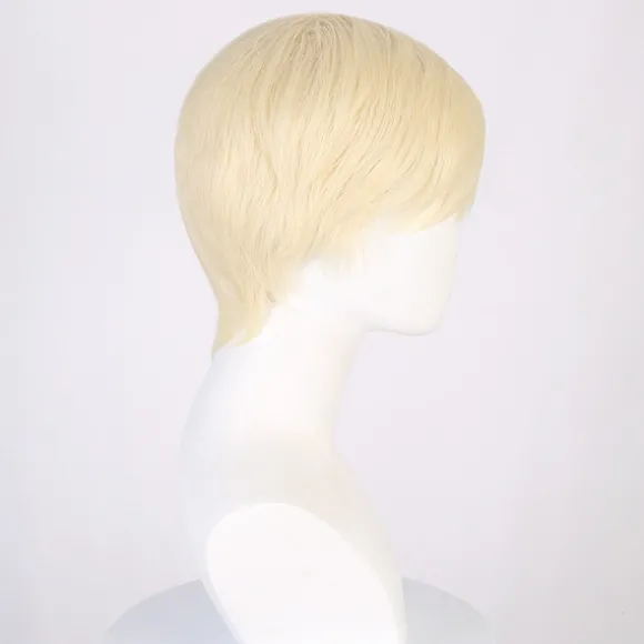Rollespils Kardemomme Barbie Ken Paryk