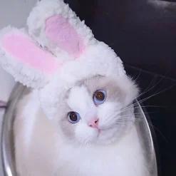 Sødt kostume kaninhat med ører til katte og små hunde, festkostume, påske kæledyrstilbehør, hovedbeklædning