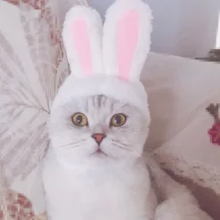 Sødt kostume kaninhat med ører til katte og små hunde, festkostume, påske kæledyrstilbehør, hovedbeklædning