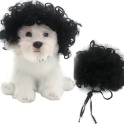 Sjov hund kat cosplay paryk, kæledyrskostumer, kattekostume til Halloween