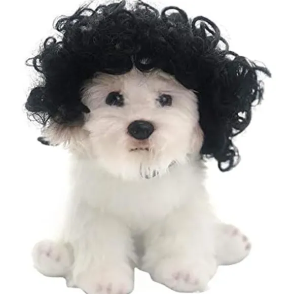 Sjov hund kat cosplay paryk, kæledyrskostumer, kattekostume til Halloween