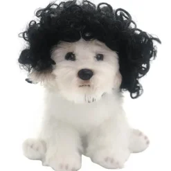 Sjov hund kat cosplay paryk, kæledyrskostumer, kattekostume til Halloween