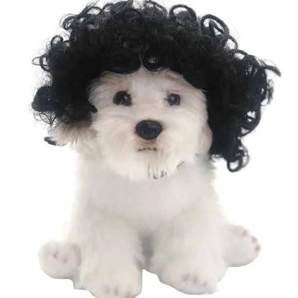 Sjov hund kat cosplay paryk, kæledyrskostumer, kattekostume til Halloween