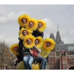 Sjov Performance Hat til Fester, Festivaler og Spil - Solross Hovedbeklædning